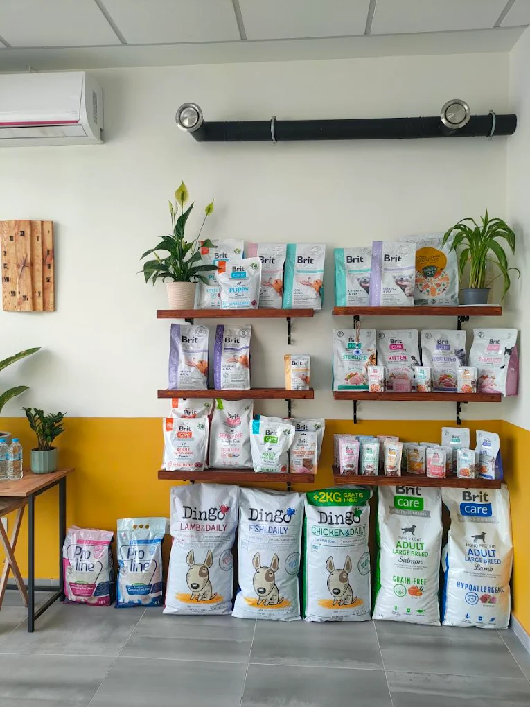 vet on the block – egkatastaseis 3