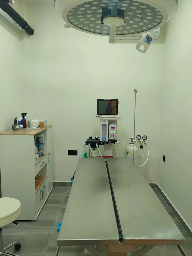 vet on the block – egkatastaseis 5